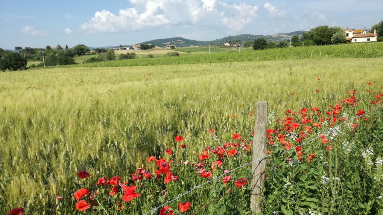 Agriturismo Cavallin Del Papa Capalbio Eksteriør billede