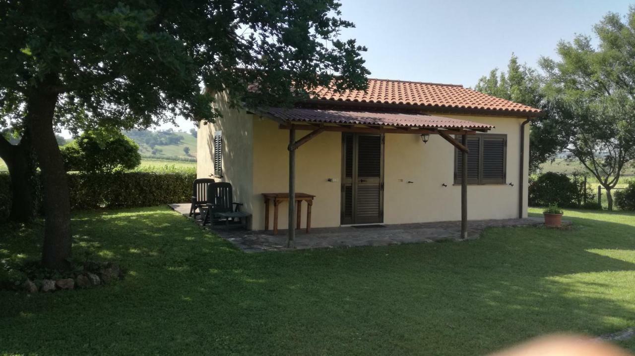 Agriturismo Cavallin Del Papa Capalbio Eksteriør billede