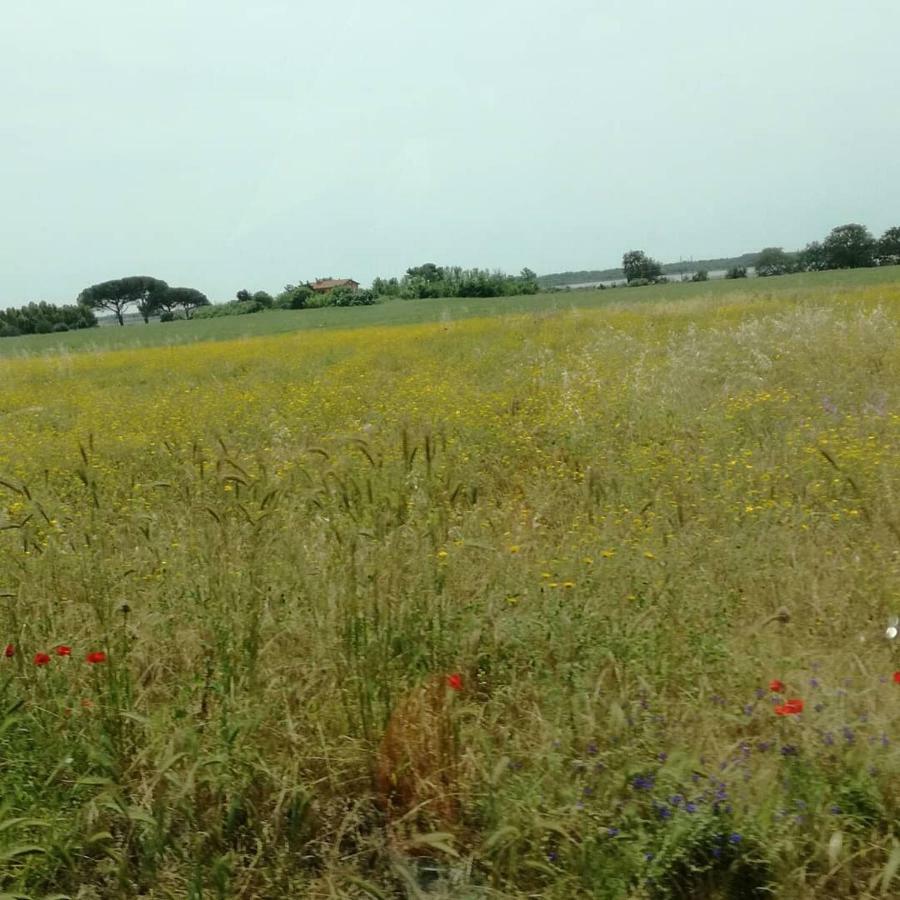 Agriturismo Cavallin Del Papa Capalbio Eksteriør billede