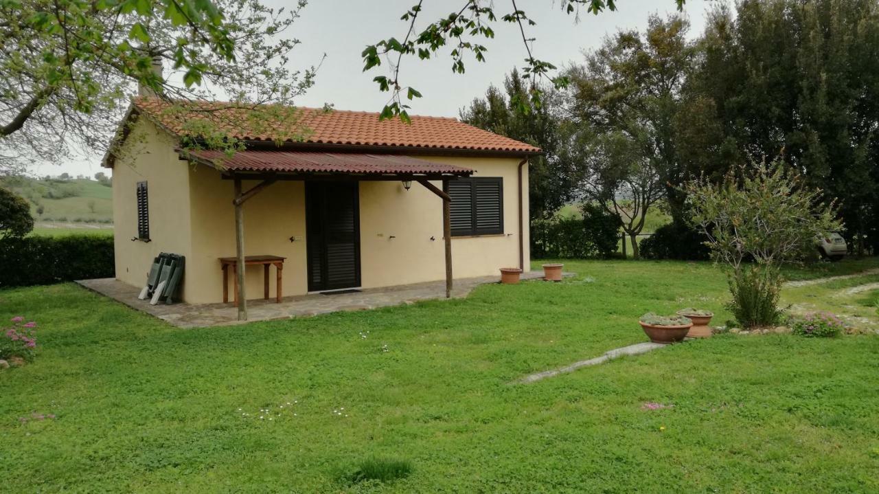 Agriturismo Cavallin Del Papa Capalbio Eksteriør billede